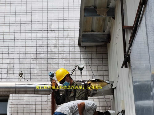 专业之选 为何众多食品厂在蒸汽流量计采购中青睐厦门精川？